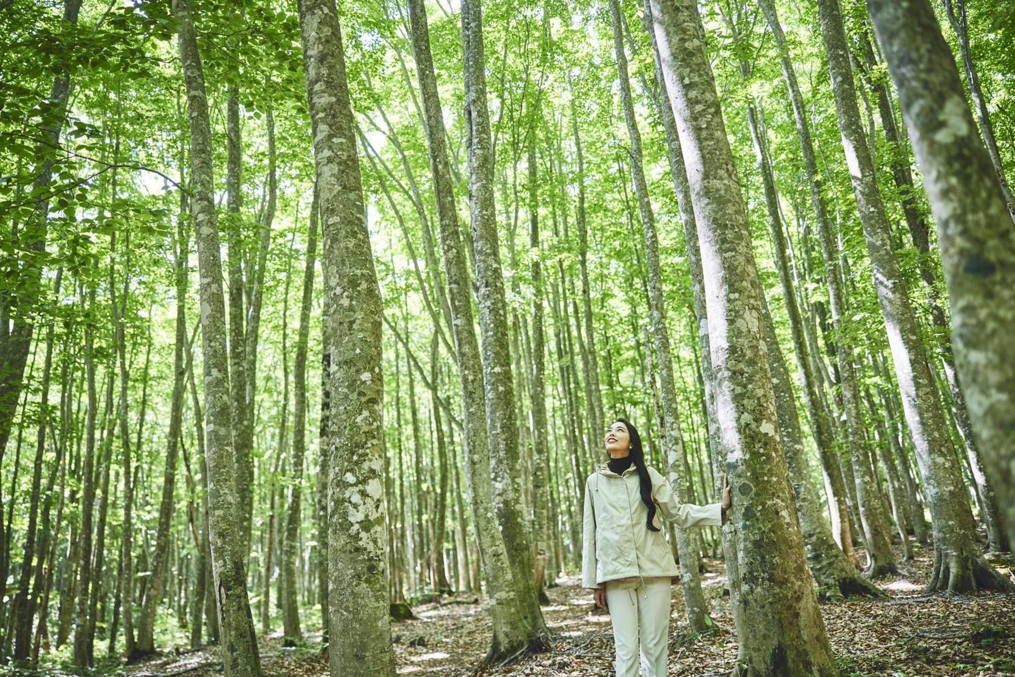 Ana Intercontinental Appi Kogen Resort By Ihg Hachimantai  Bagian luar foto